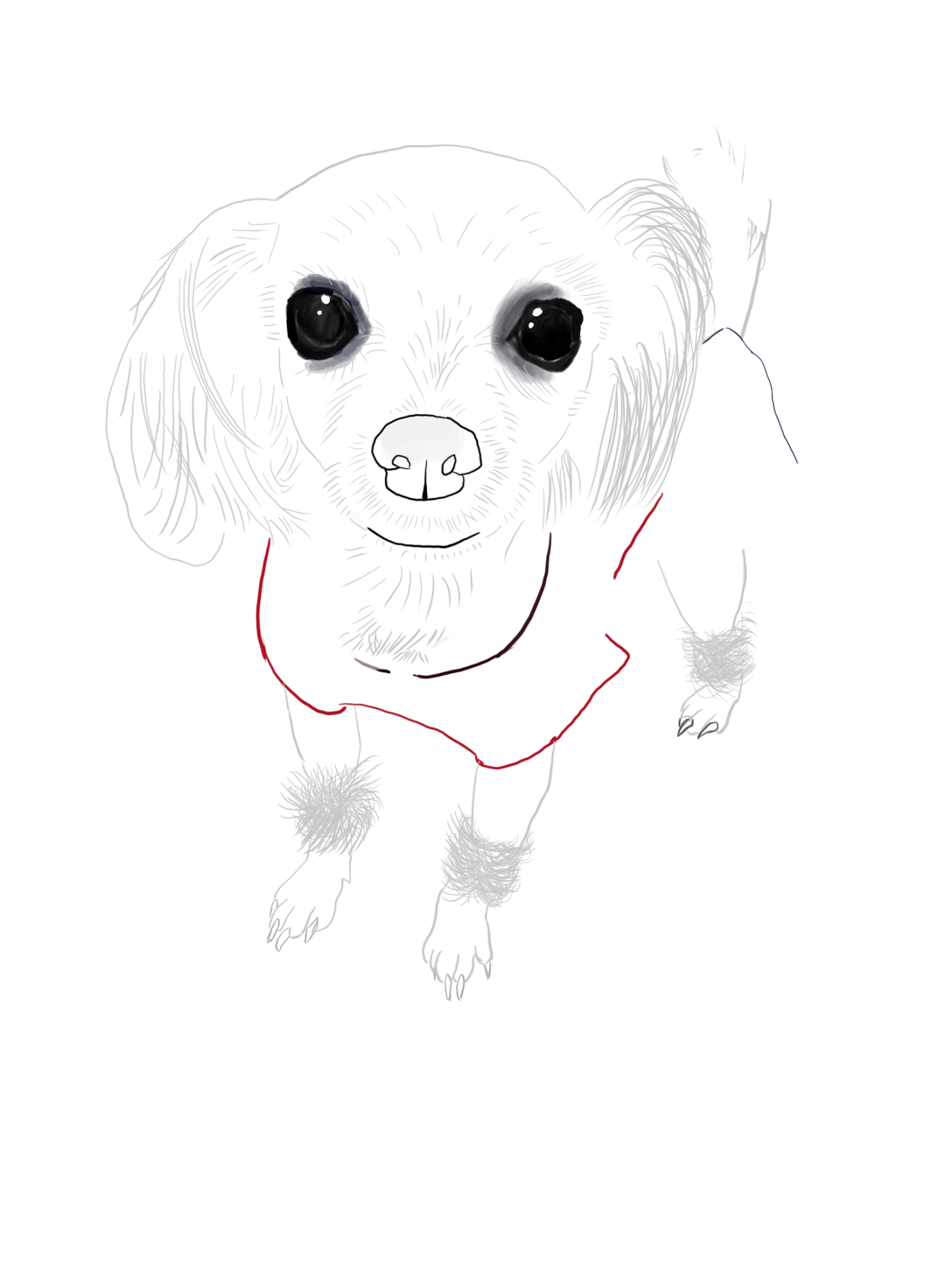 43d27d817a263c1972860ea10715de8f_1654839156_1483.png