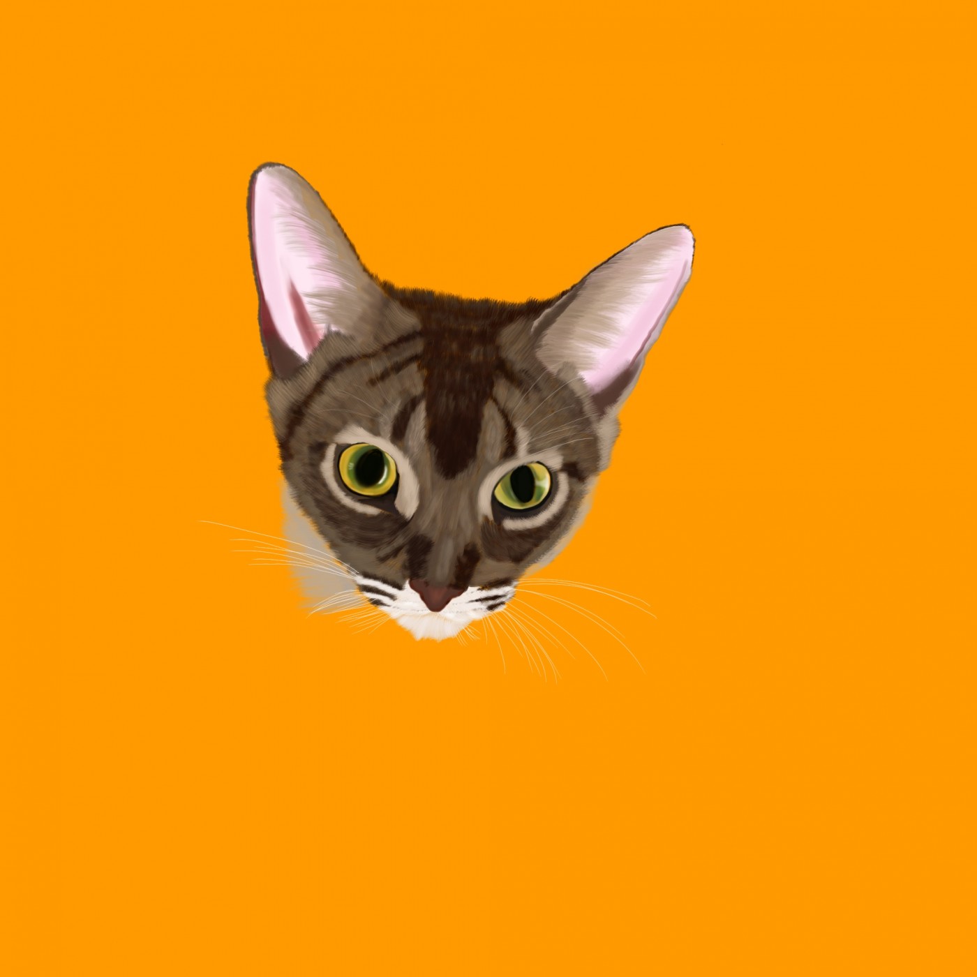 2ae5b48e8677068b1da2439fa5fd7cff_1656985073_0008.jpg