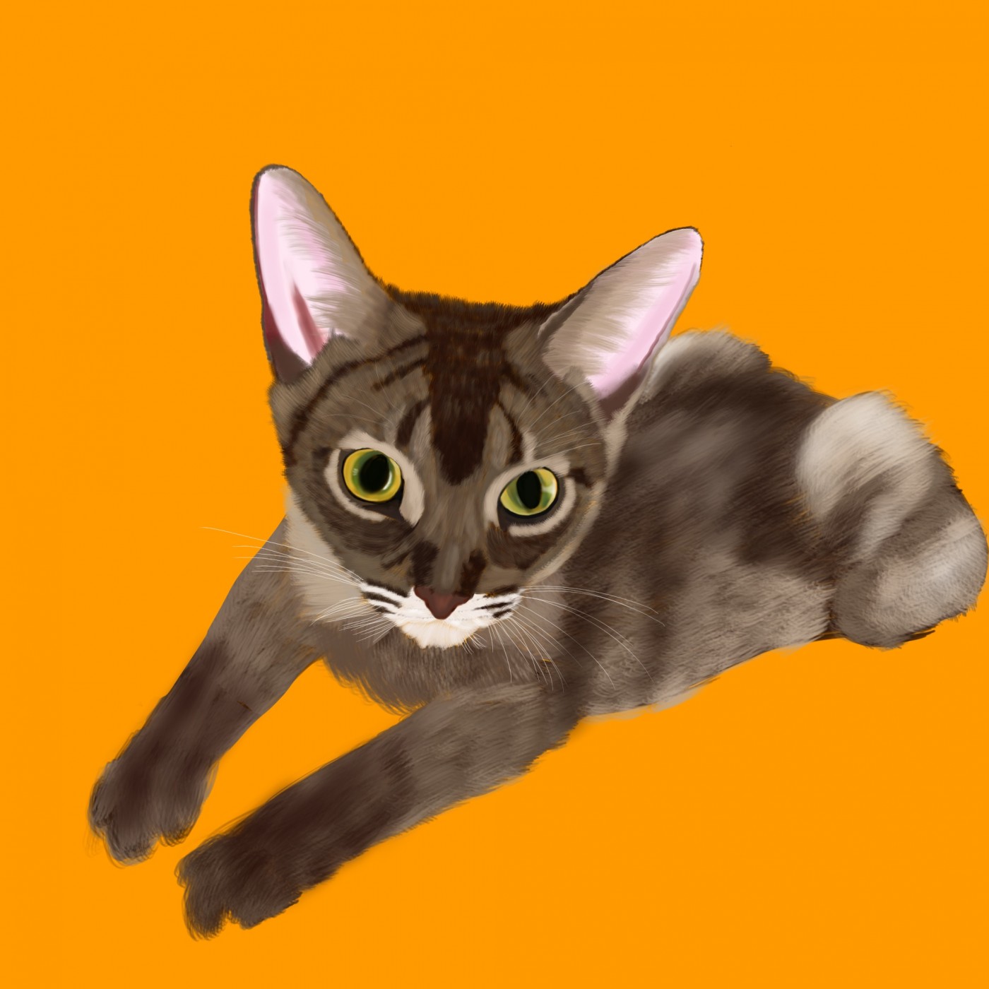 2ae5b48e8677068b1da2439fa5fd7cff_1656985088_9244.jpg