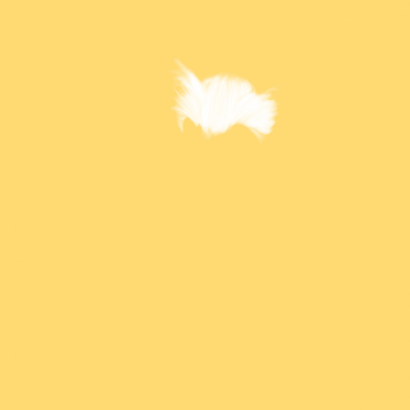 361b29a2d1d738e736750d69b0ba1fb5_1660025510_7316.jpg