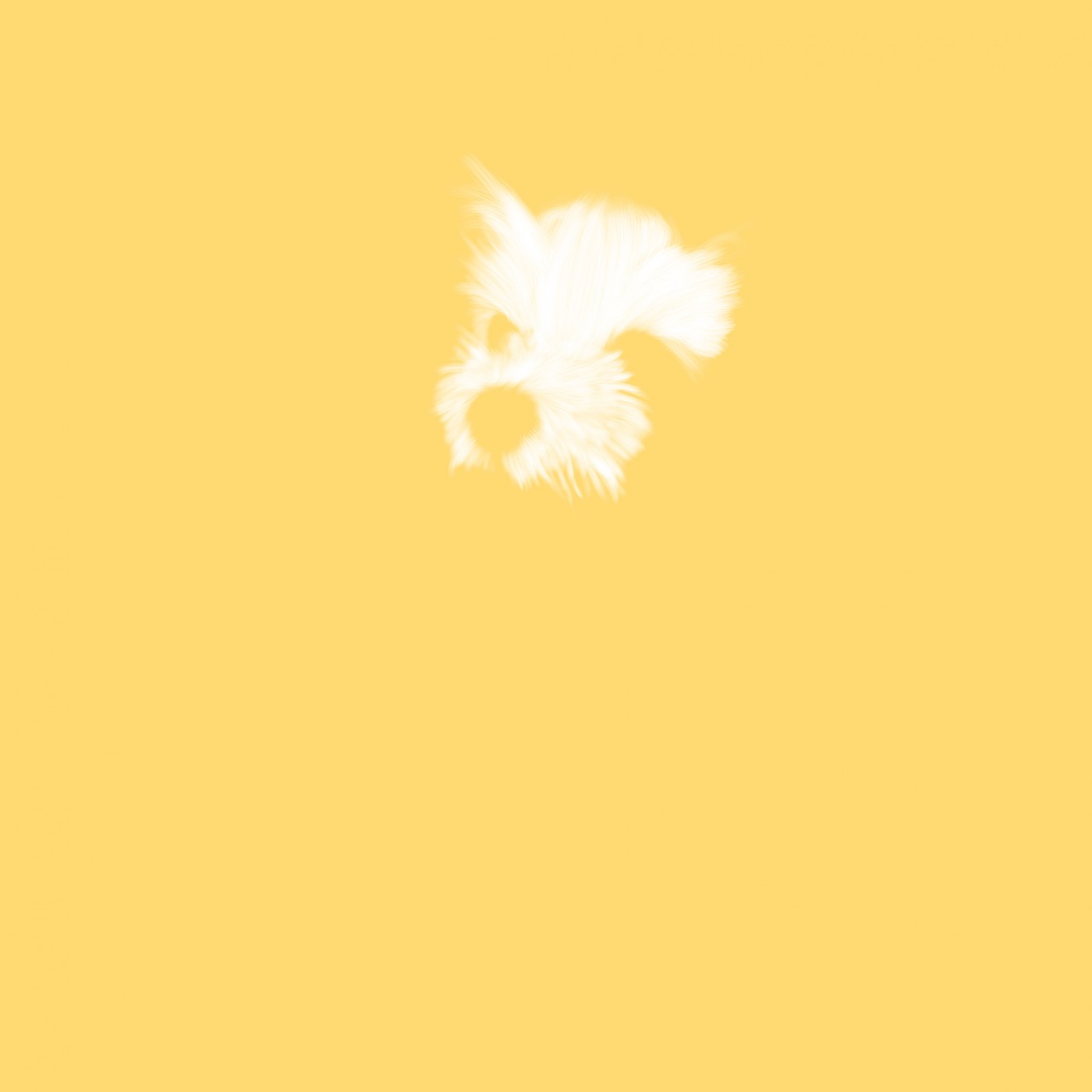 361b29a2d1d738e736750d69b0ba1fb5_1660025510_9064.jpg