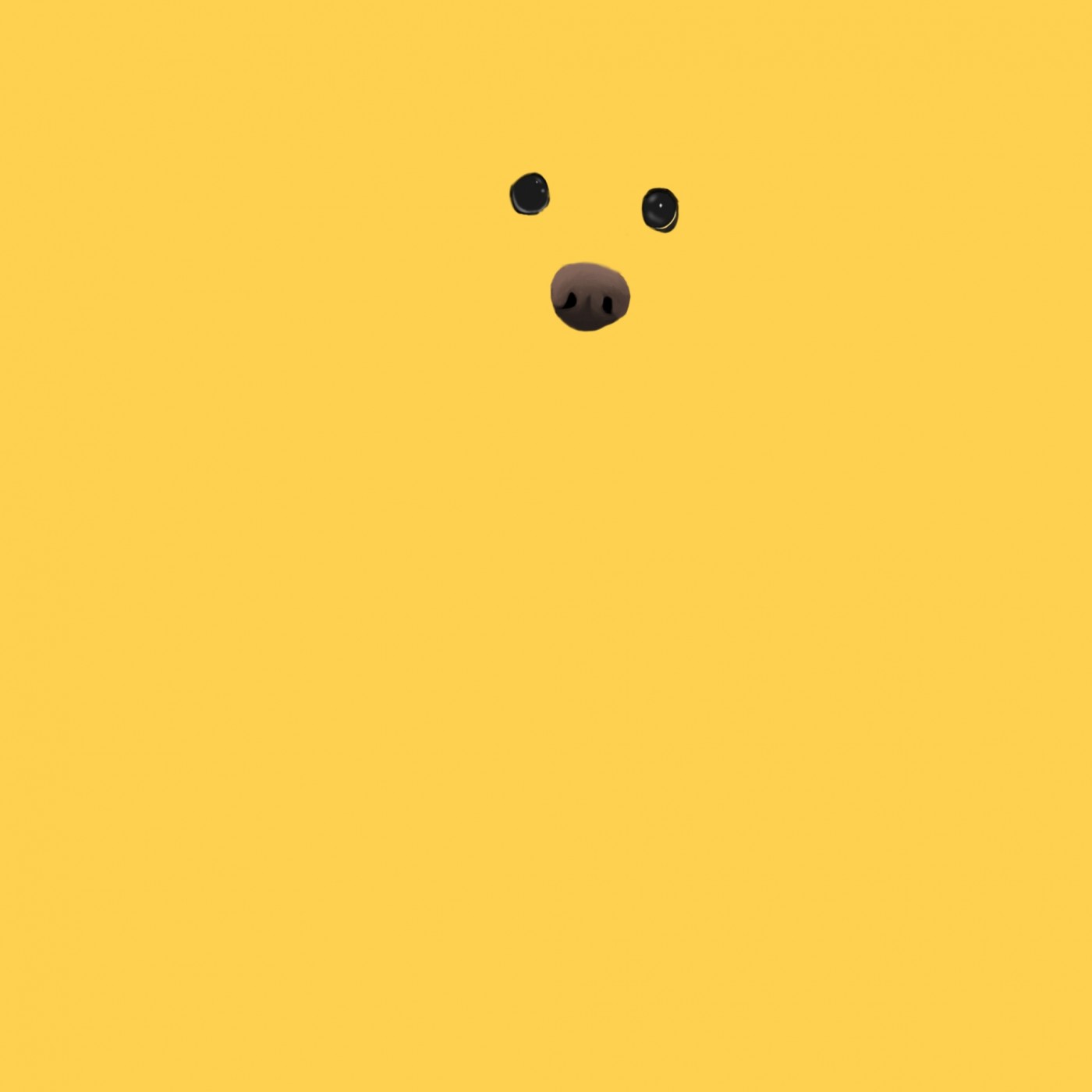 361b29a2d1d738e736750d69b0ba1fb5_1660025743_0385.jpg