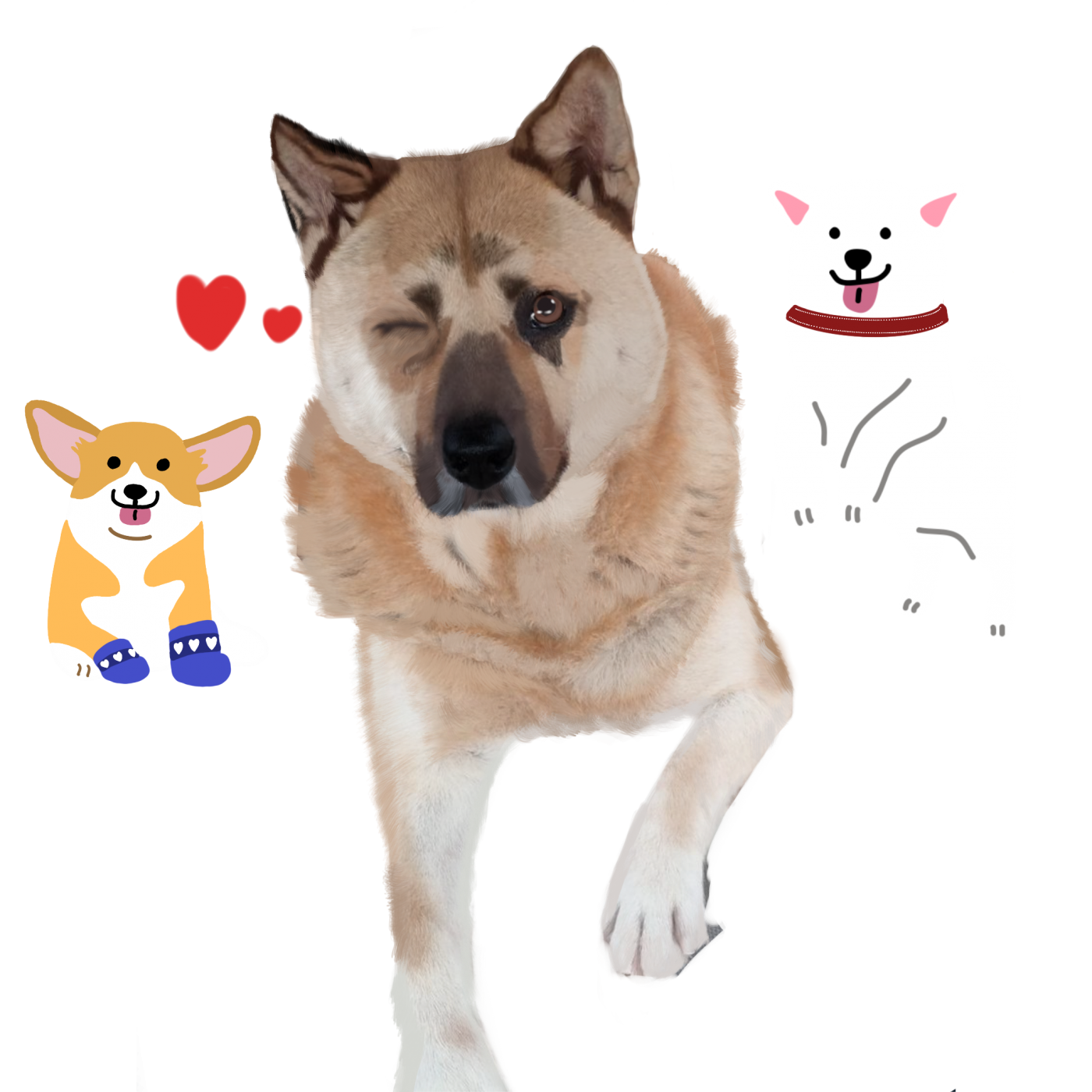361b29a2d1d738e736750d69b0ba1fb5_1660025870_4477.png