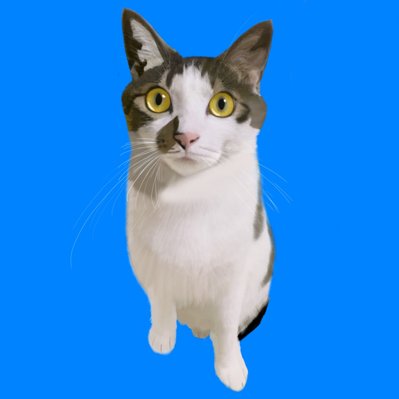 b5543ef4b0a337ca26d5f79e9c0c710d_1664329932_2886.jpg