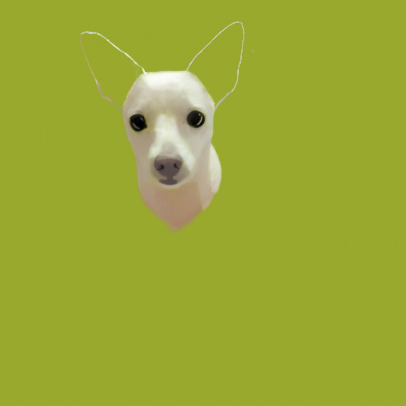 c6e7d7d46e8d731069beb2eaa2ea8cd3_1664264996_8539.jpg