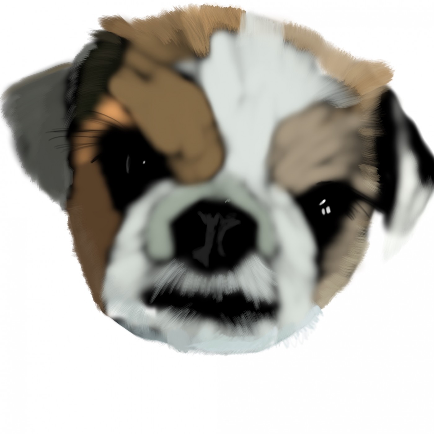 016c1c0006387c889a6e286ff2655a0d_1665449327_3086.jpg