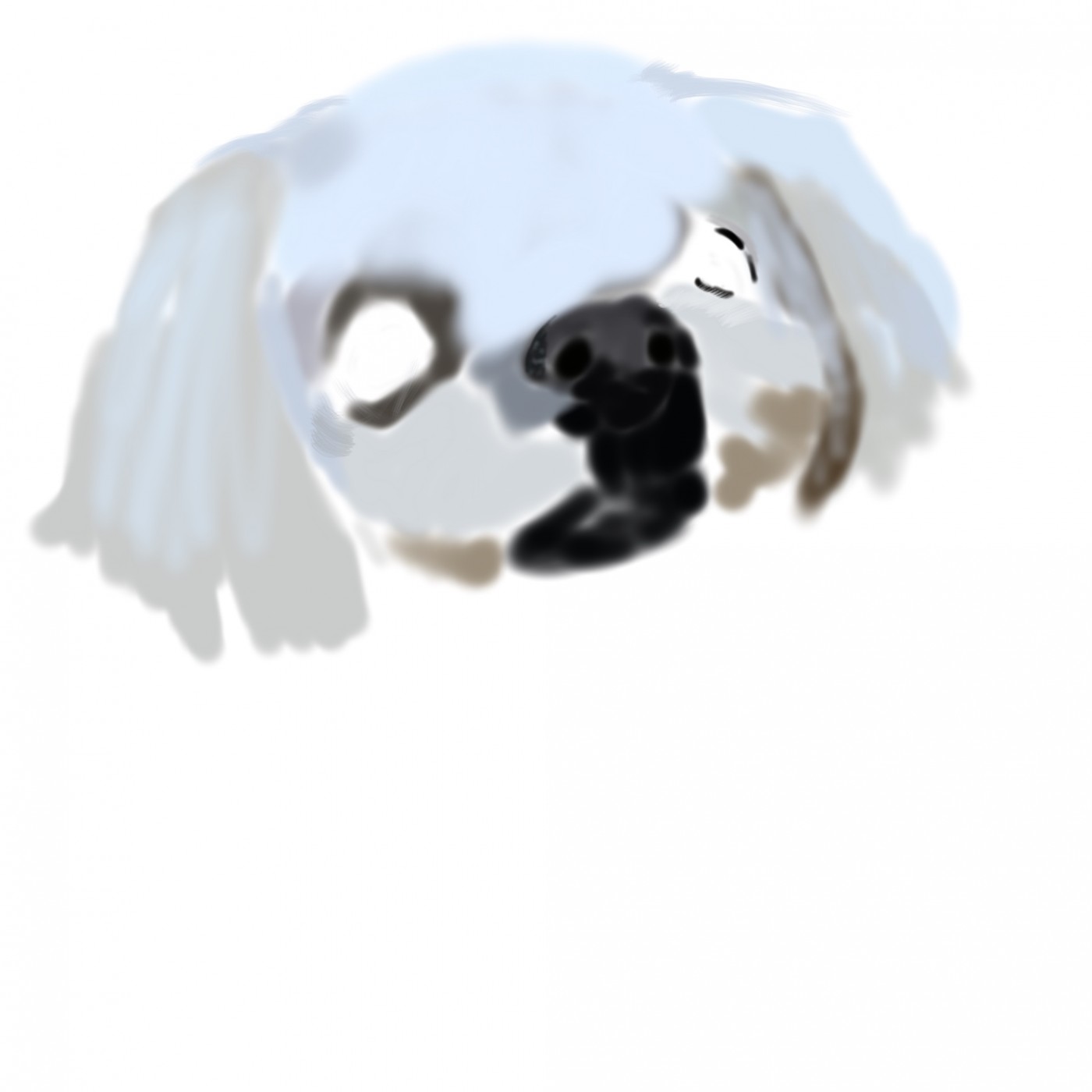 1a8076af92665fd6a399a0c4fb1f9cb3_1666681159_7842.jpg
