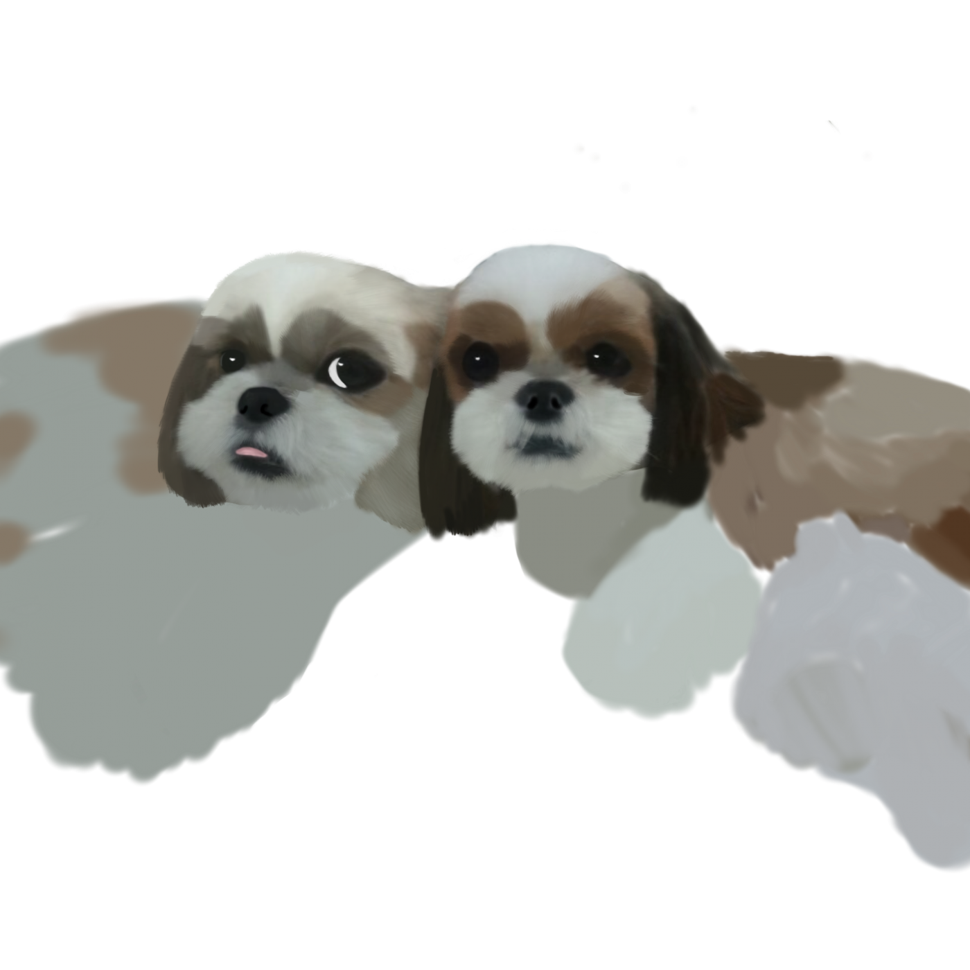 1fd80b62c93fe213938f1b59ea421d62_1666137867_4713.png