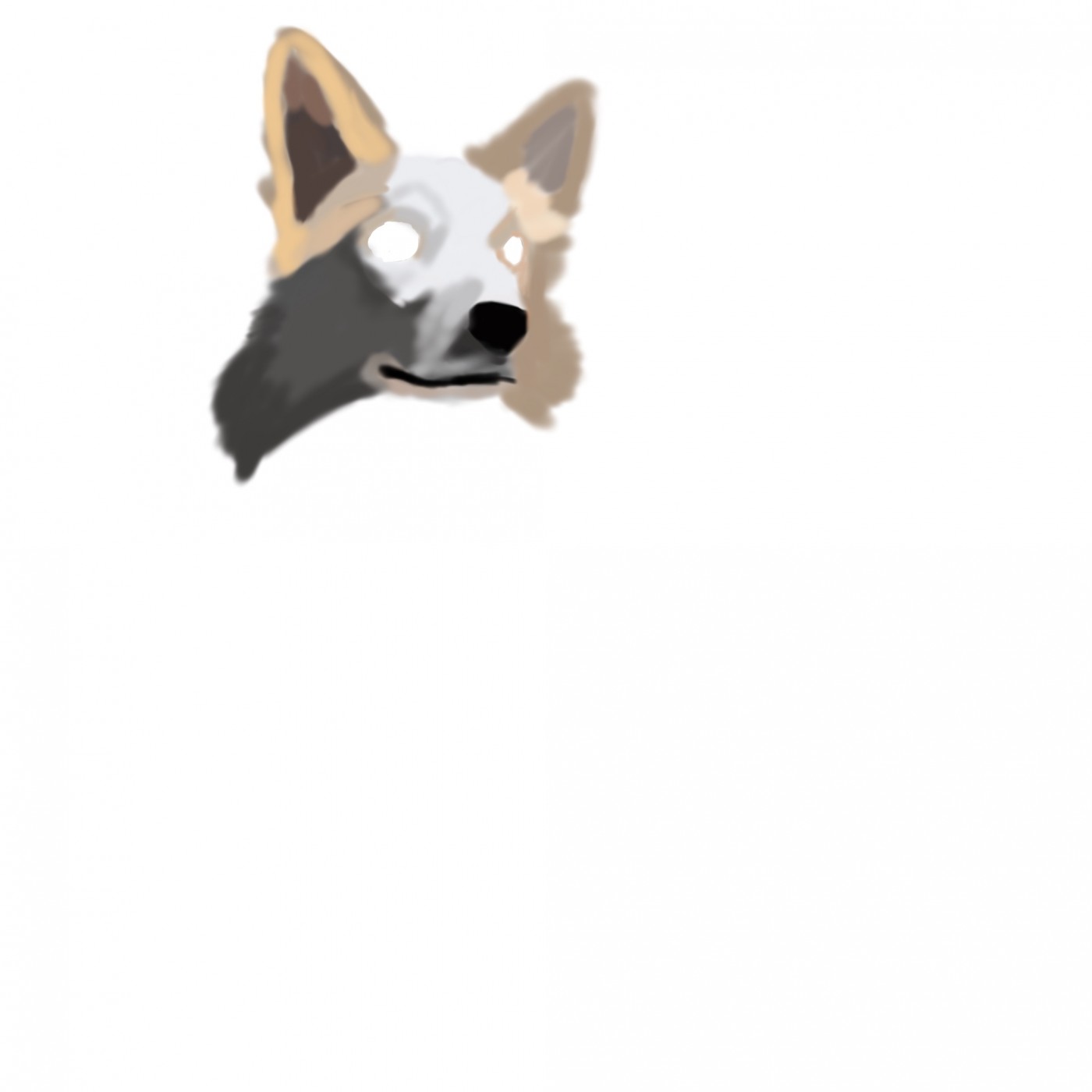 42ab0ae424dc12933d37ce120006ee57_1665548956_9384.jpg