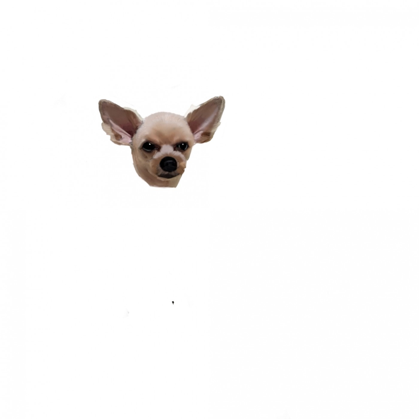 e53ab28e69626350ae75eb7b922185b9_1665647597_7337.jpg