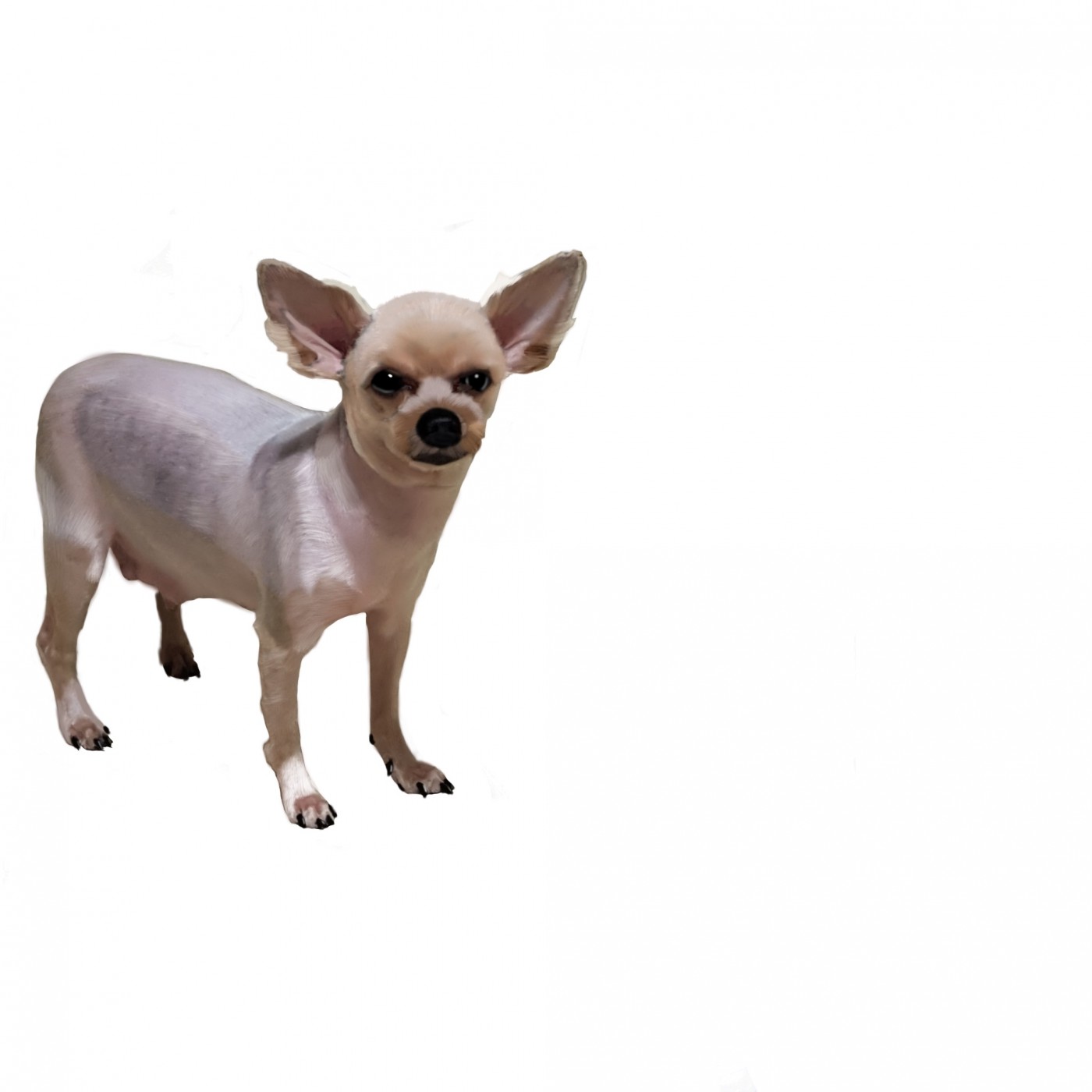 e53ab28e69626350ae75eb7b922185b9_1665647598_0729.jpg