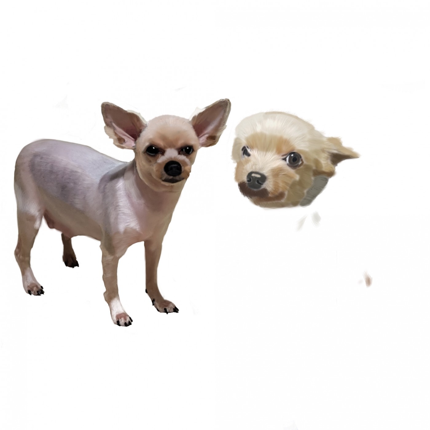 e53ab28e69626350ae75eb7b922185b9_1665647598_4909.jpg