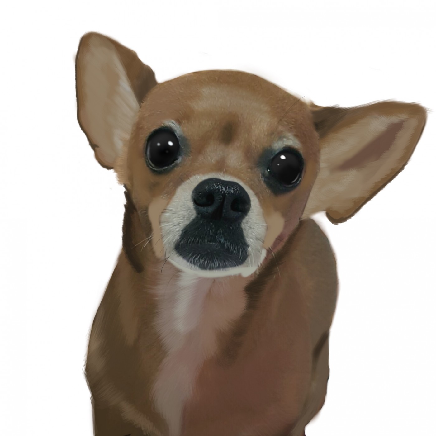 165e69f469c37bc3c6c5b0b3c34aa573_1669160157_6331.jpg