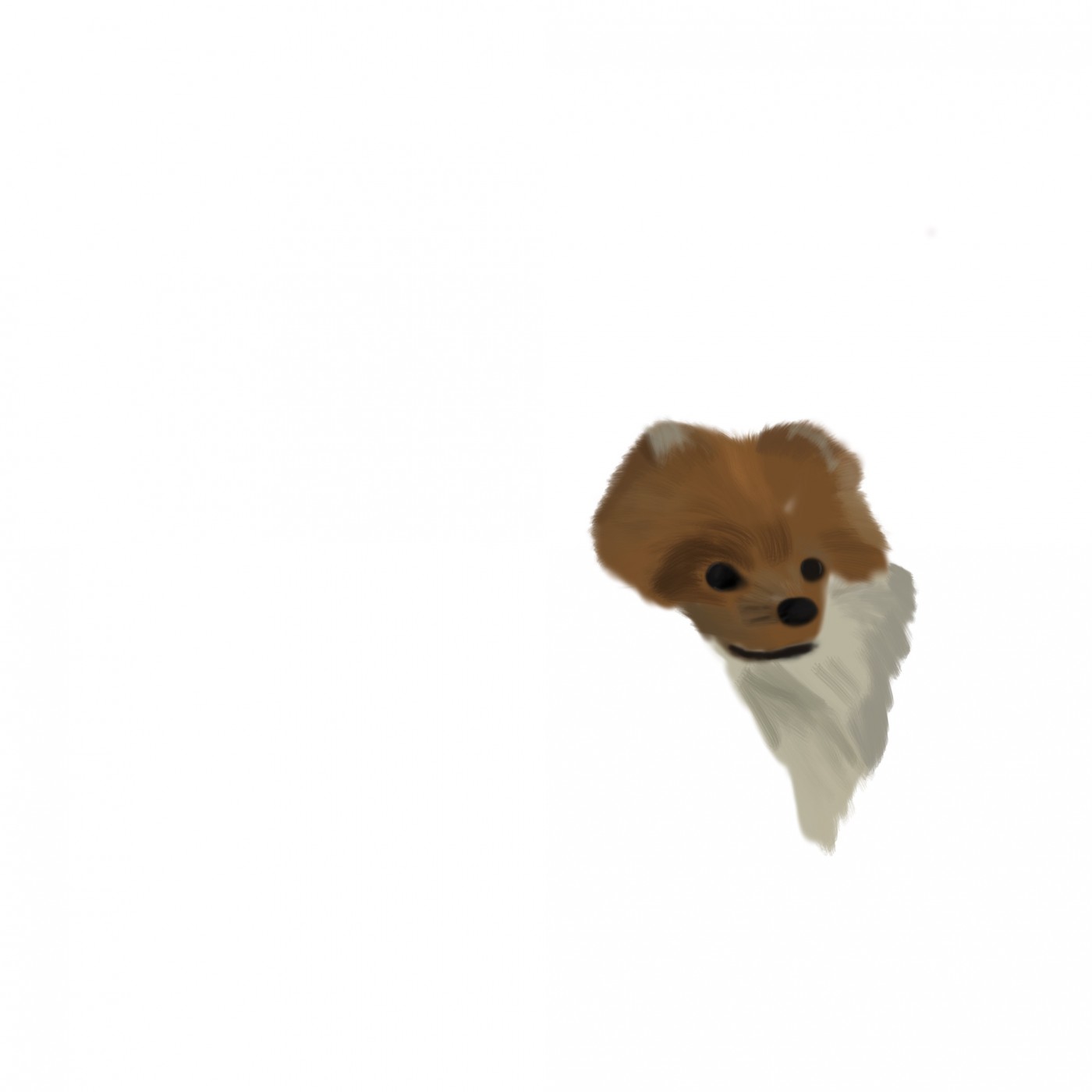 e007ec5b7b06bdfb2505a2e526368875_1668561716_2159.jpg